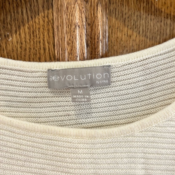 Earth Toned Striped Knit Sweater Evolution Size Medium Blue Tan blouse - Picture 2 of 3